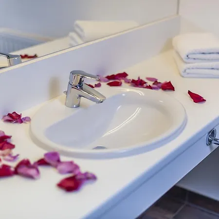 Amethysthotel Mantler Maissau