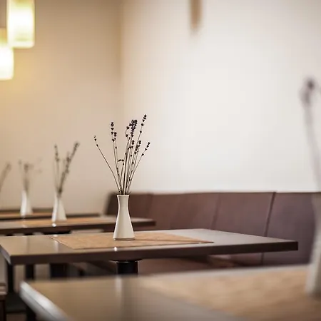 Amethysthotel Mantler Hotel 3*