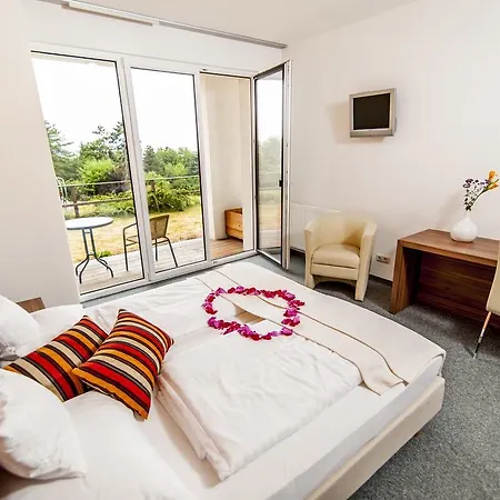 ホテル Amethysthotel Mantler Maissau