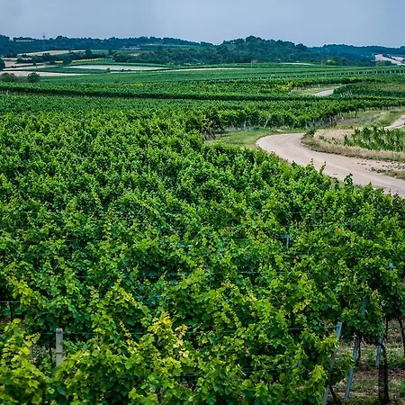 Amethysthotel Mantler 3*