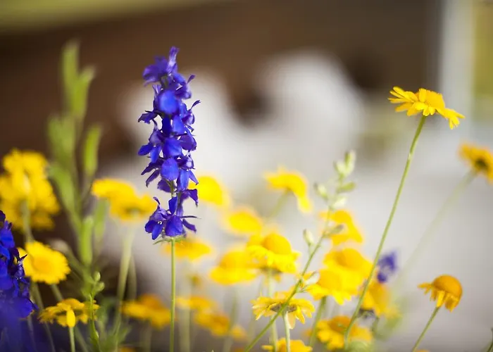 Amethysthotel Mantler Hotel 3*