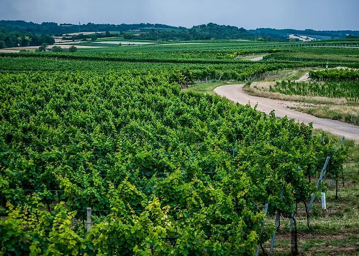 Amethysthotel Mantler 3*