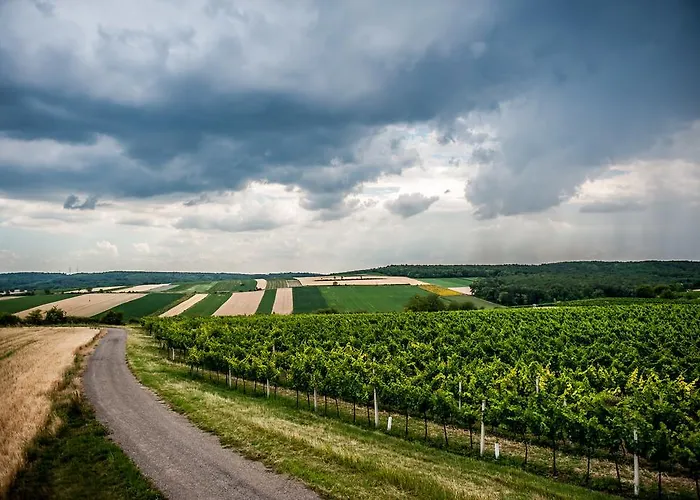 Amethysthotel Mantler Hotel